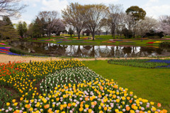 昭和記念公園①
