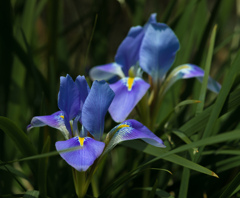 20120315-DSC03936