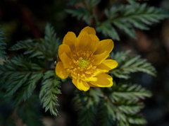 20120315-DSC04019-2
