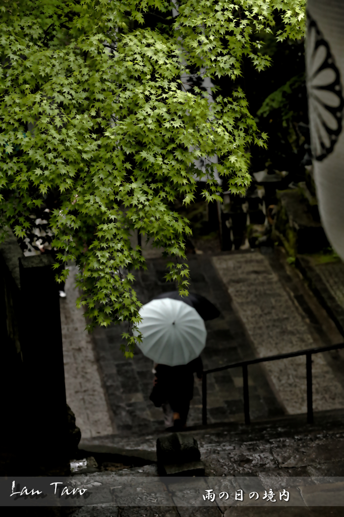 雨の日の境内