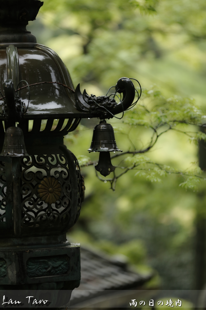 雨の日の境内　谷汲山華厳寺
