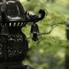 雨の日の境内　谷汲山華厳寺