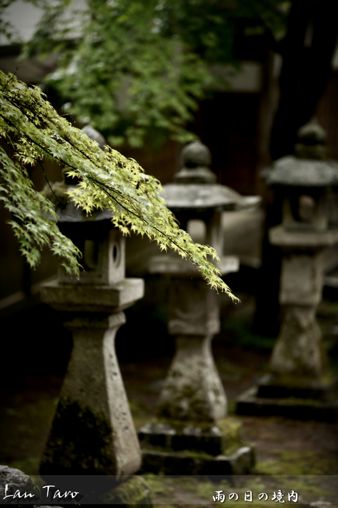 雨の日の境内