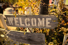 Welcome