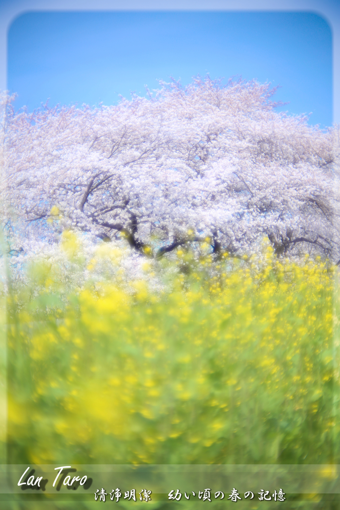 私の心の額縁の中に切り残されてる春