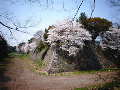 名古屋城