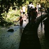 clear stream in Mishima city - 3 -