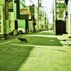 ある街の日常