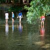 clear stream in Mishima city - 2 -