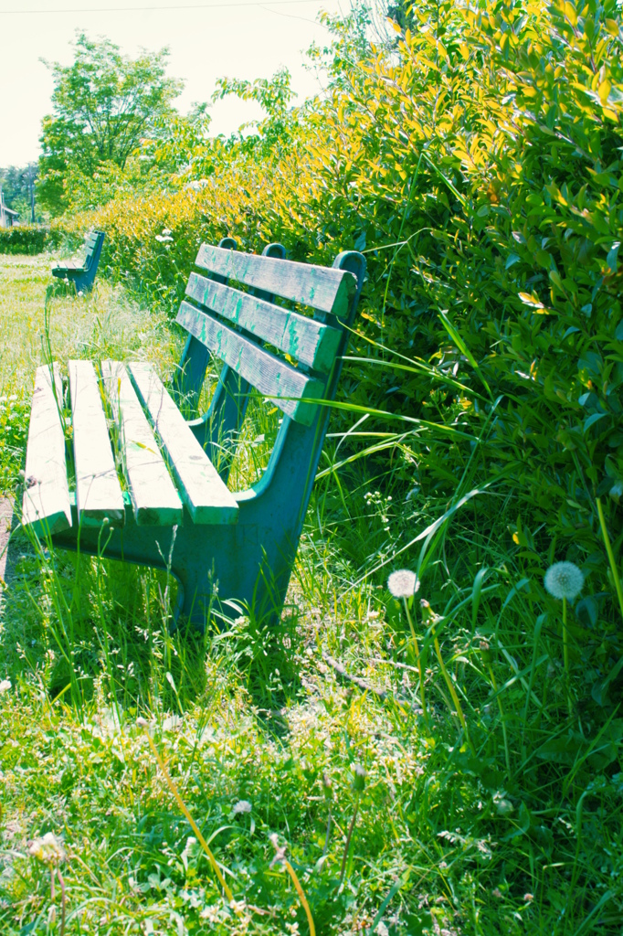 park bench-2