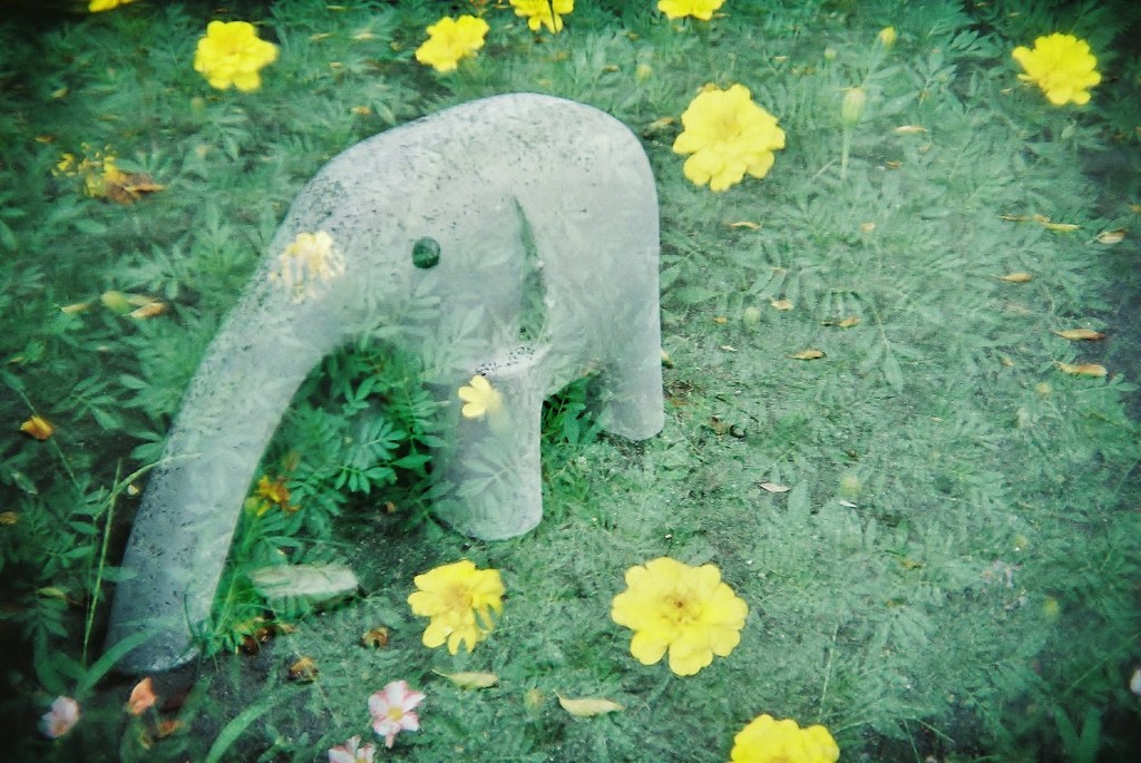Happy Elephant