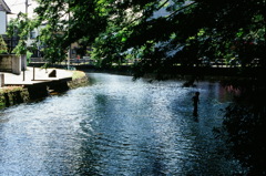 clear stream in Mishima city