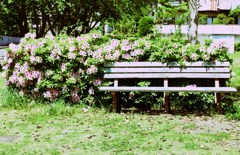 park bench-1