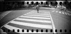 a zebra crossing