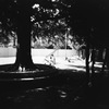seesaw