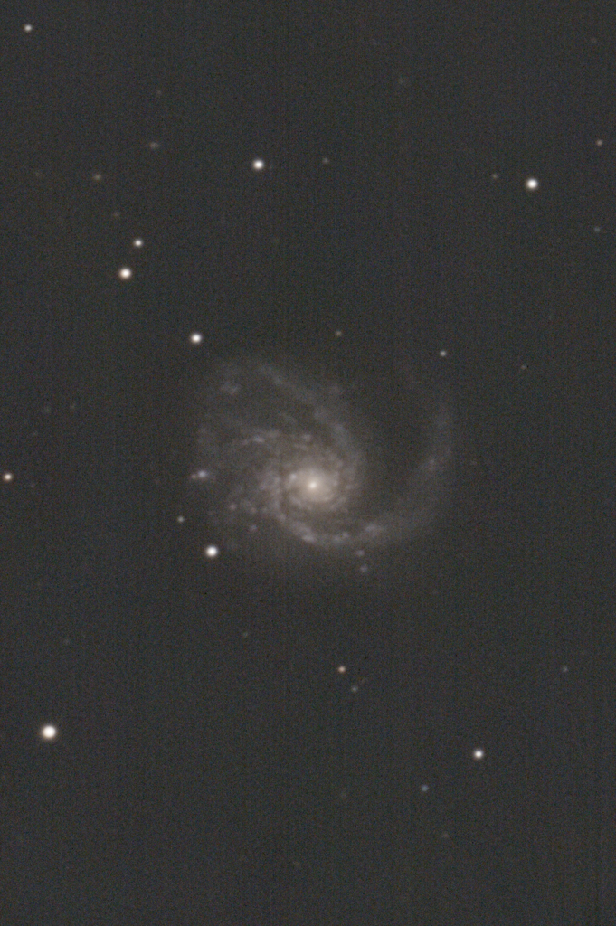 M99_仮
