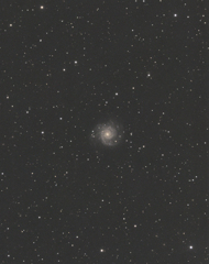 M74