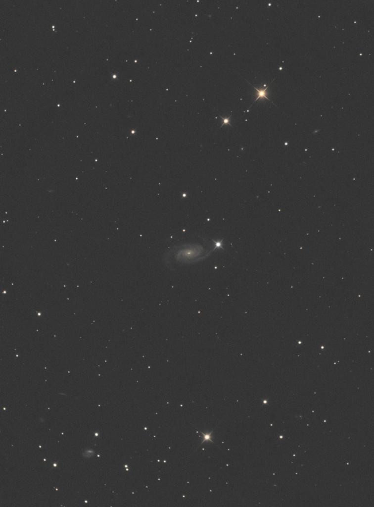 NGC3338