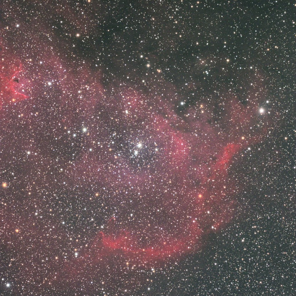 胎児星雲の足の方