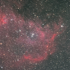 胎児星雲の足の方