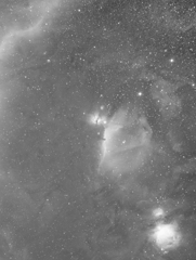 月夜の馬頭星雲2