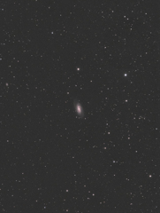 NGC2903