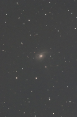 NGC772