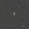 NGC7331周辺