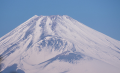 来年もよろしくお願いします