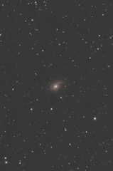 NGC772その２