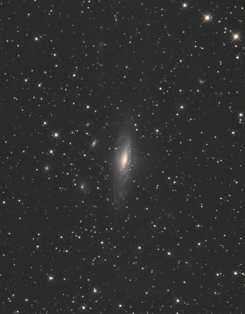 NGC7331