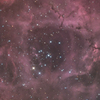バラ星雲中心部