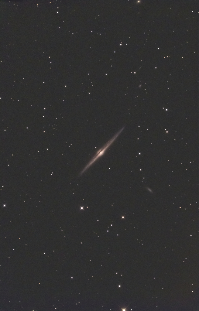NGC4565