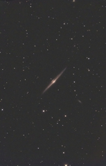 NGC4565