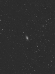 NGC2903