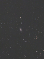 NGC2903