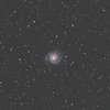 M74