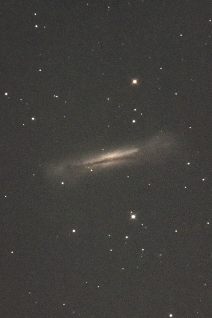NGC3628