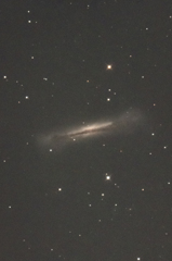 NGC3628