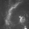 Barnard's Loop