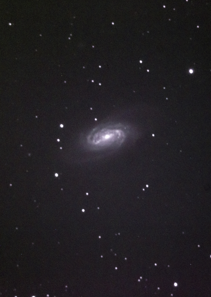 NGC2903