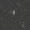 NGC7331