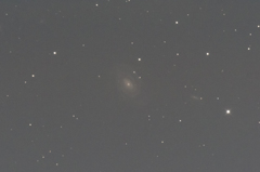 NGC5364