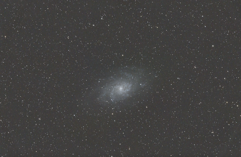 M33