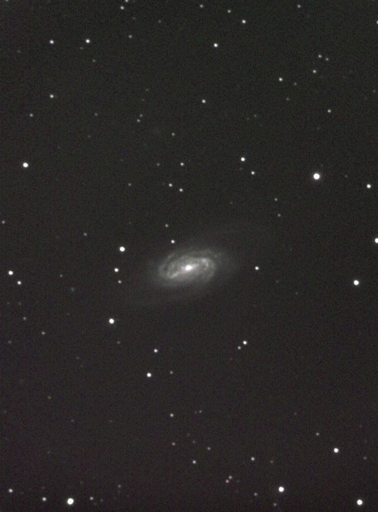 NGC2903