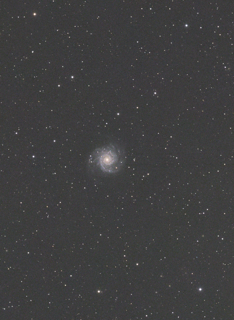 M74