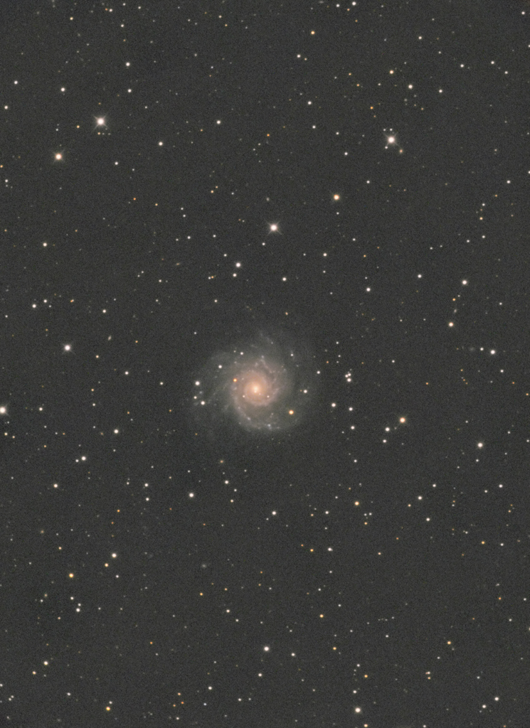 M74