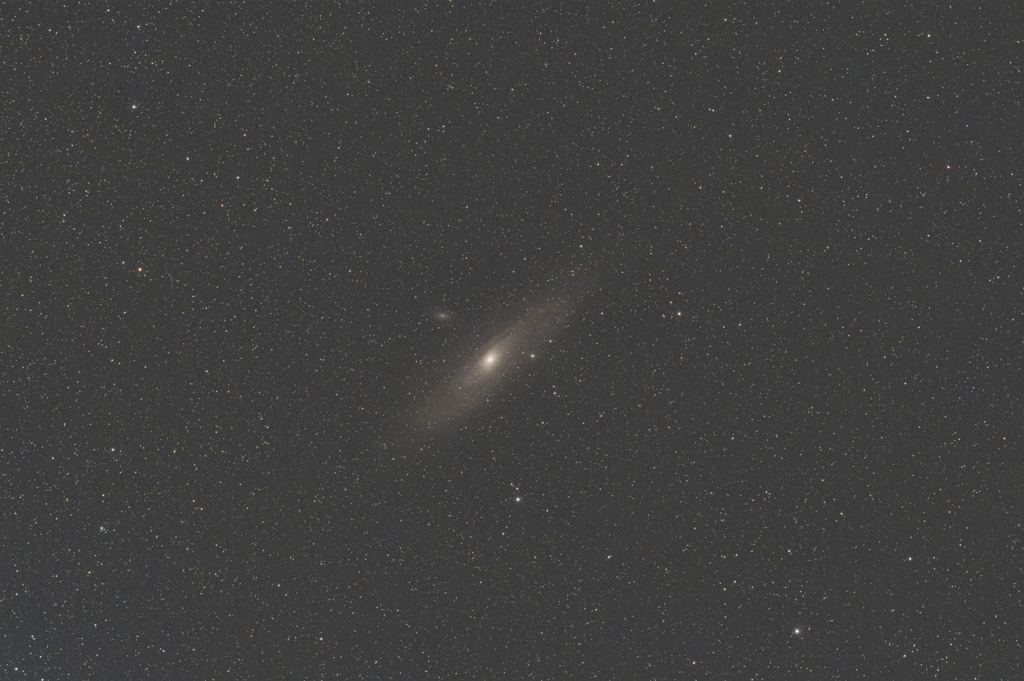 M31