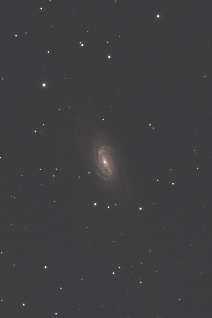 NGC2903と小惑星カーライル