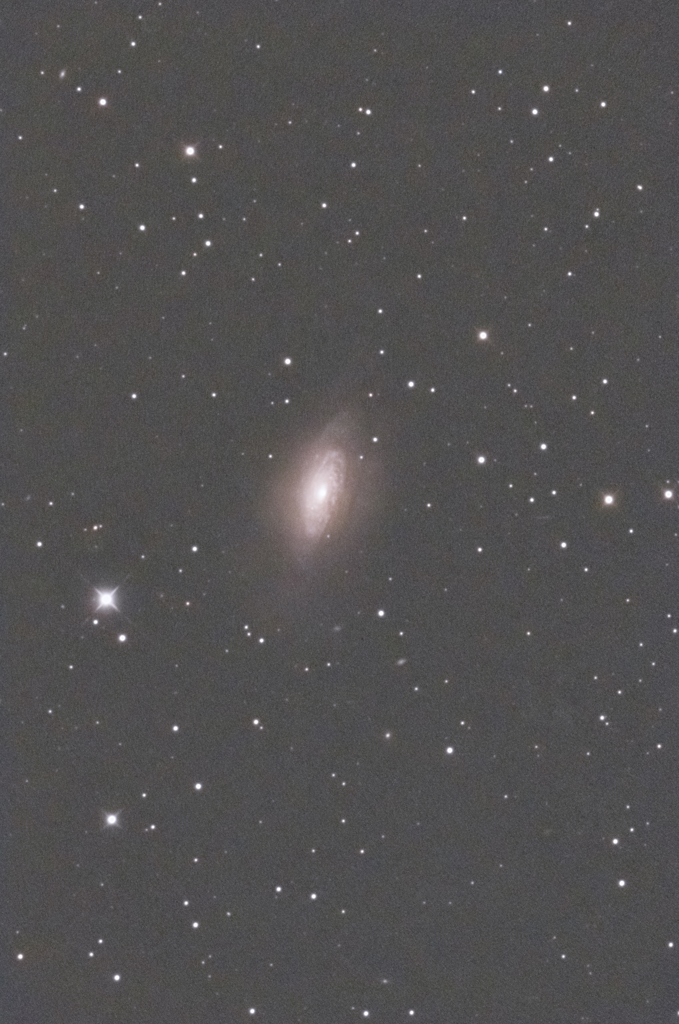NGC3521
